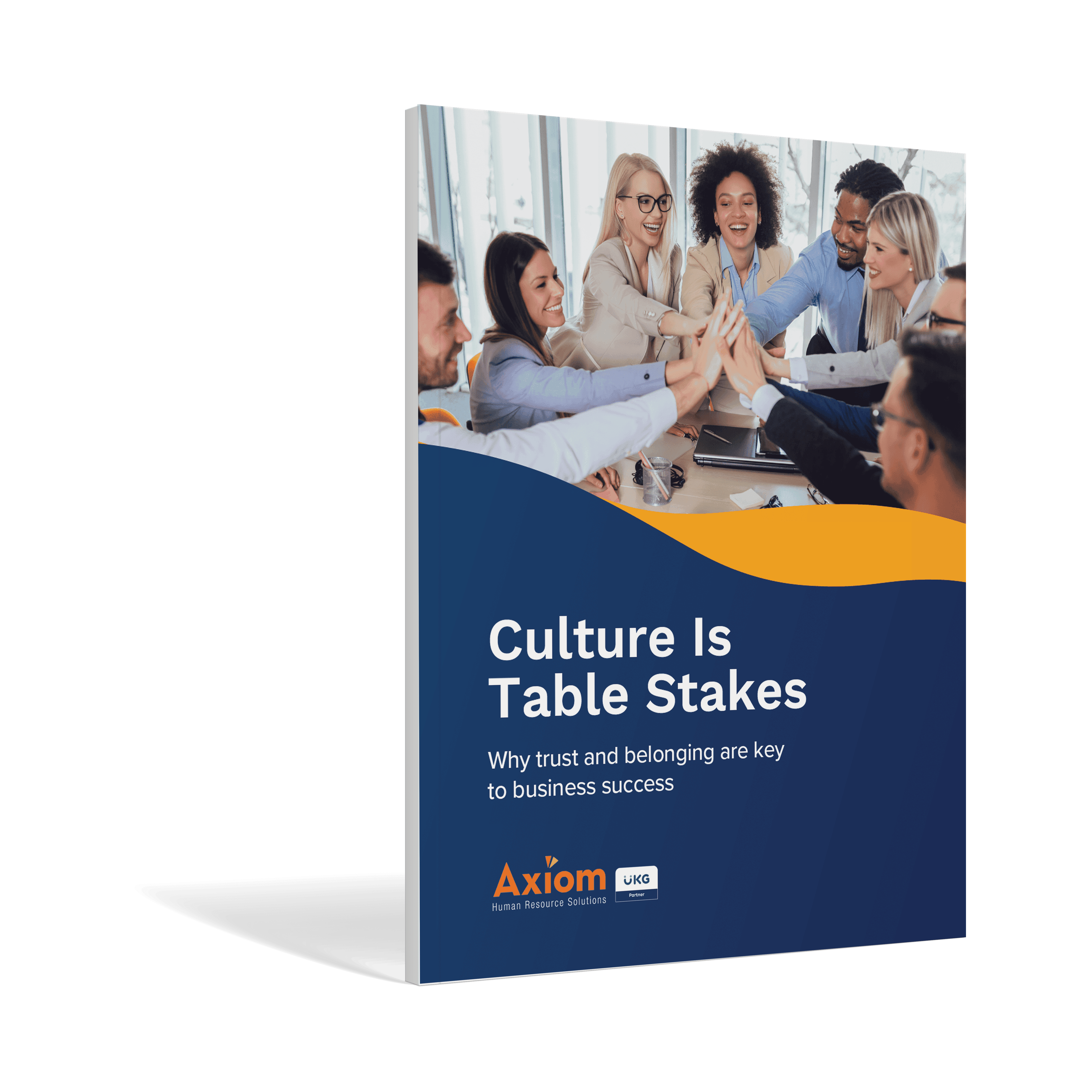 Human Capital Management ebook